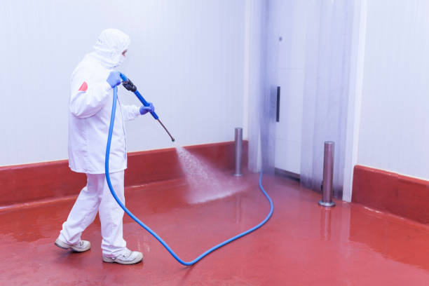 Best Spring Cleaning  in Wylie, TX